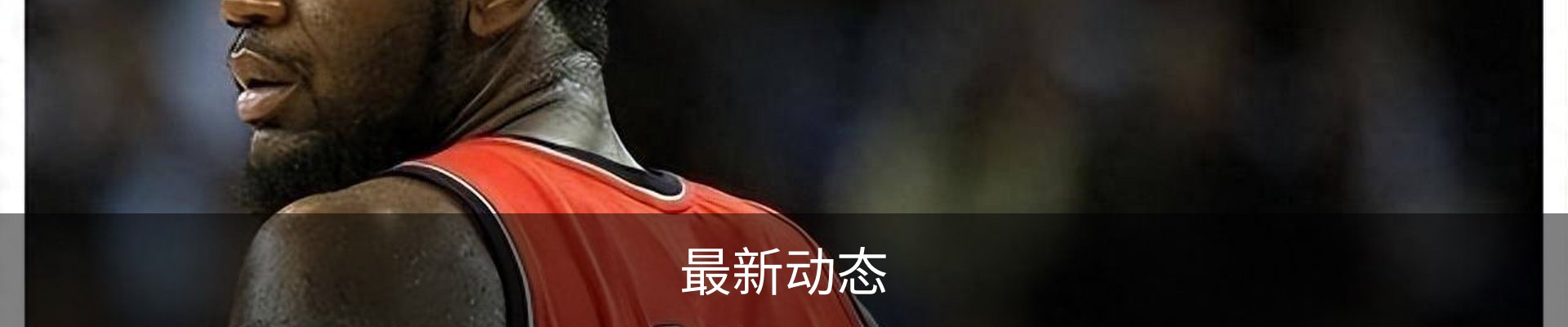 最新动态