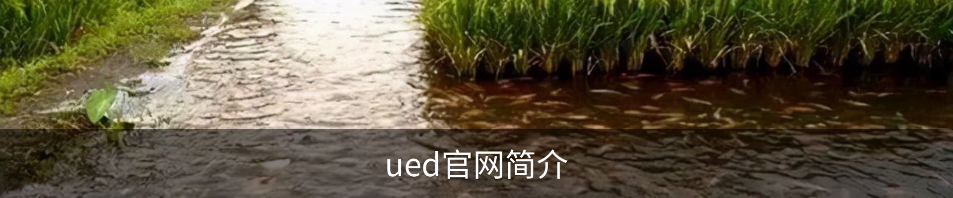 ued官网简介